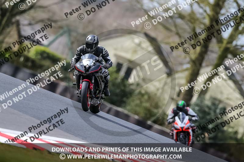 Oulton Park 21st March 2020;PJ Motorsport Photography 2020;anglesey;brands hatch;cadwell park;croft;donington park;enduro digital images;event digital images;eventdigitalimages;mallory;no limits;oulton park;peter wileman photography;racing digital images;silverstone;snetterton;trackday digital images;trackday photos;vmcc banbury run;welsh 2 day enduro